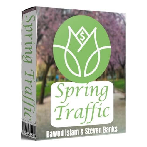 Spring Traffic Software Box
